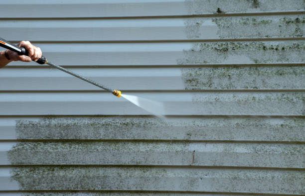 Best Industrial Mold Remediation in Canyon Creek, WA